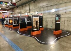 FLIPELÔ lança o Concurso Fotográfico Amados Olhares 2026